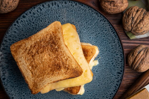 Close up on melted cheese in sandwich