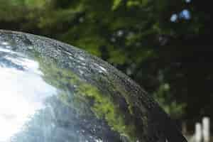 Free photo close-up of mirror ball in garden