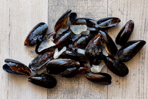 Miscela del primo piano delle conchiglie di cozze