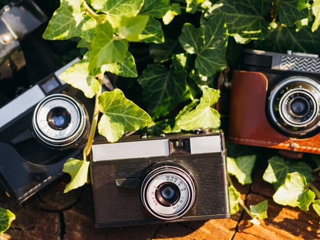 Close-up of multiple retro photo cameras