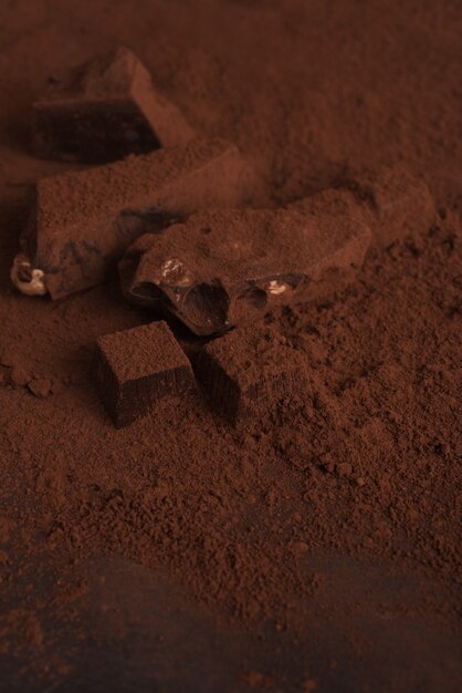 Close up of a natural homemade dark chocolate covered in powder