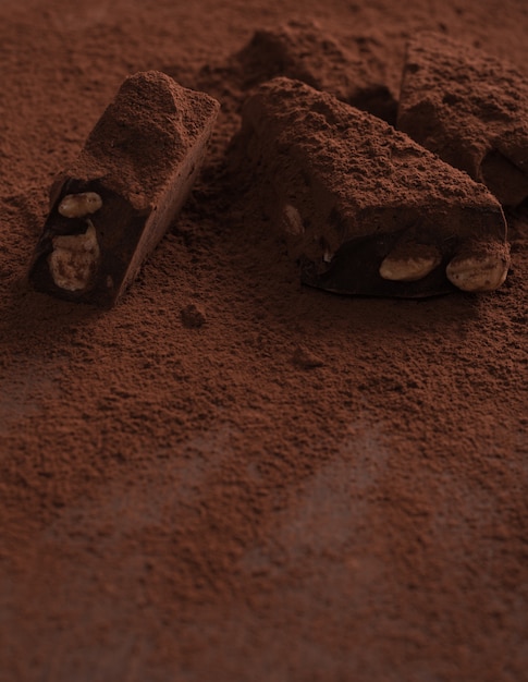 Close up of a natural homemade dark chocolate covered in powder