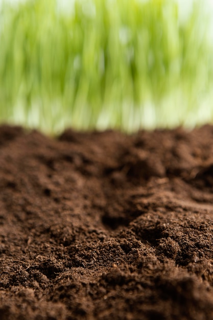 Close up natural soil and grass