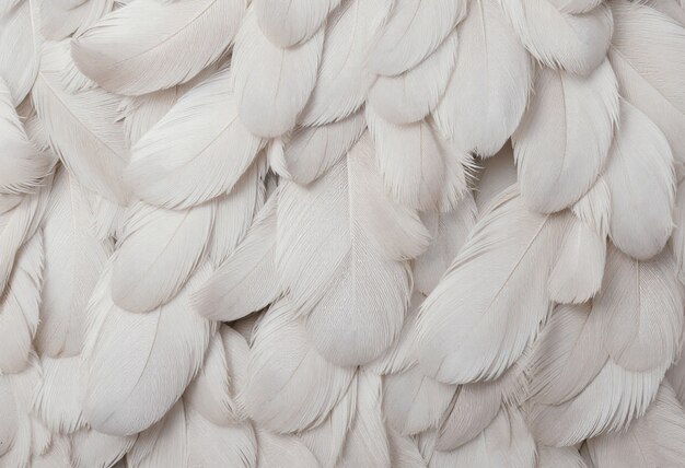 Free Photo close up on  natural texture