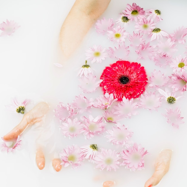 水に浮かぶ赤とピンクの花と女性の手のクローズアップ