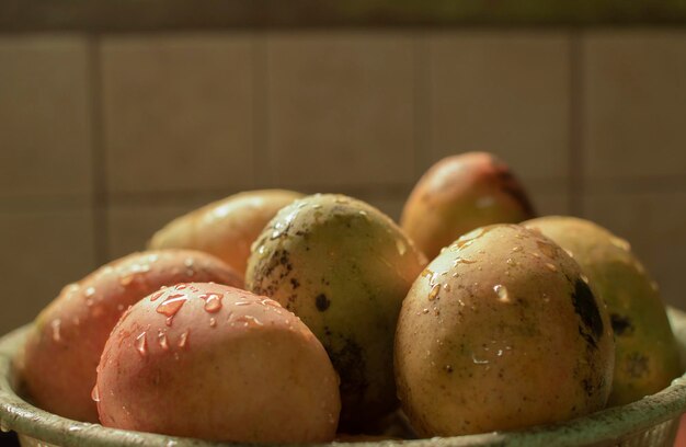 水滴でマンゴーのクローズアップ、コピースペースで新鮮なマンゴーコーデュロイ