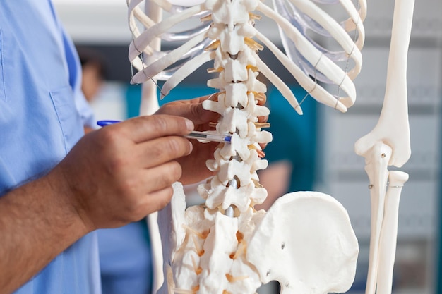 高齢​の​患者​に​診断​を​説明する​ために​、​人間​の​骨格​の​脊椎​の​骨​を​指している​看護師​の​クローズアップ​。​身体​の​回復​と​カイロプラクティック​な​治療​の​ために​老人​に​脊髄​を​見せている​助手