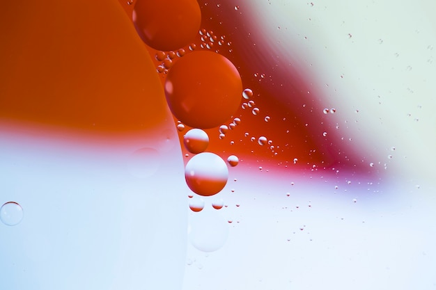 Free photo close-up oily bubbles and droplets in colourful watery backdrop