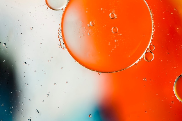 Close-up oily bubbles and droplets in colourful watery backdrop