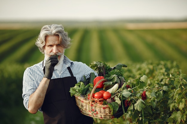 Close up of old farmer holding a basket of vegetables. The man is standing in the garden. Senior in a black apron.