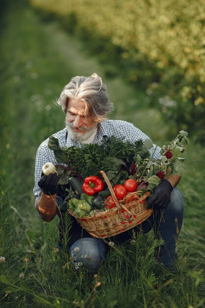 野菜のバスケットを持って古い農家のクローズアップ。その男は庭に立っています。黒いエプロンのシニア。