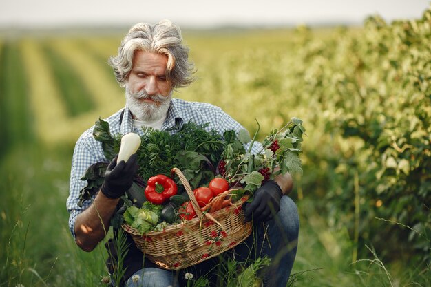 Close up of old farmer holding a basket of vegetables. The man is standing in the garden. Senior in a black apron.