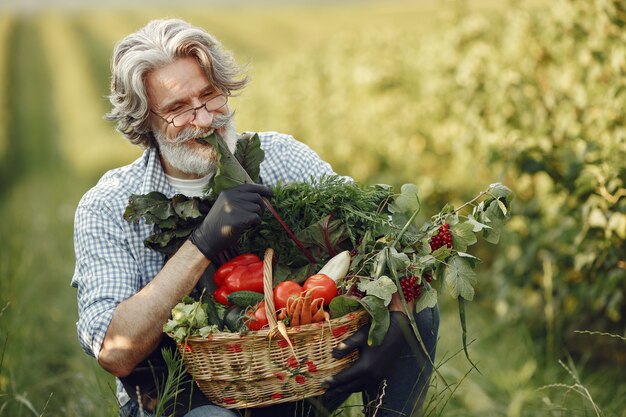 Close up of old farmer holding a basket of vegetables. The man is standing in the garden. Senior in a black apron.