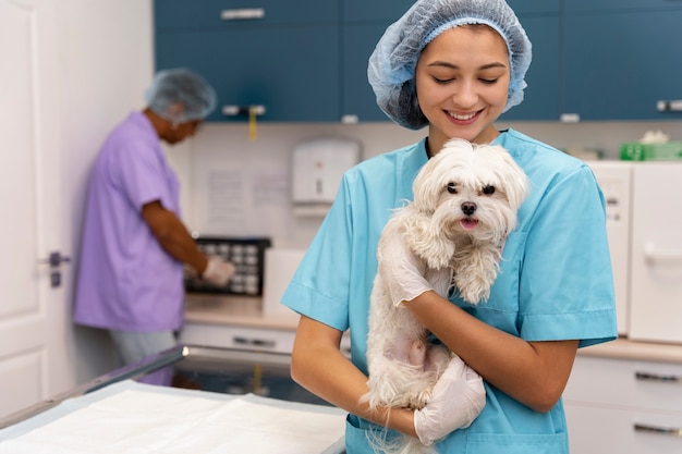 Бесплатное фото Крупным планом на ветеринара, заботящегося о домашнем животном