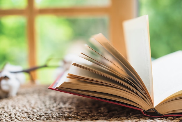 Close-up of a open book