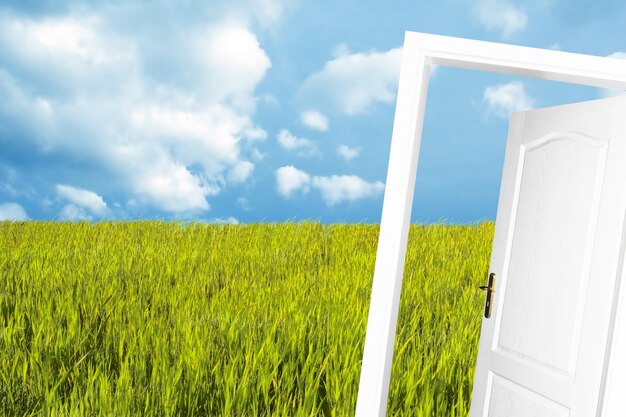 Close-up of open door with meadow background