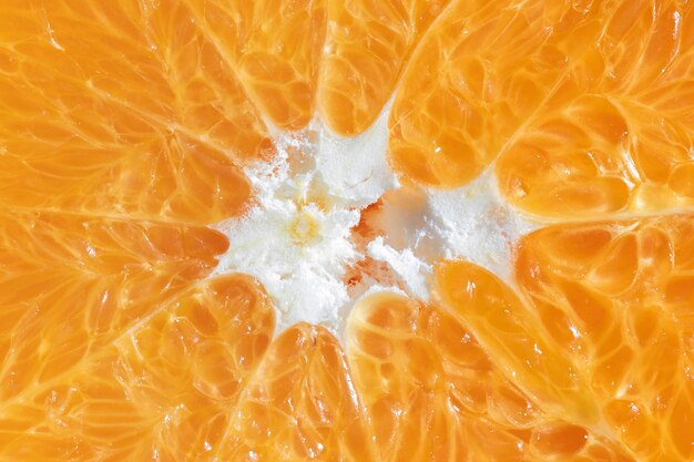 Close-up orange organic background
