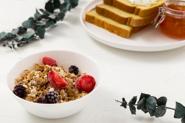 Close-up organic granola with berries