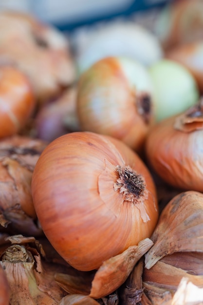 Close-up organic little onions