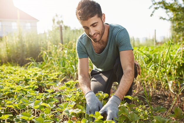 Крупным планом портрет зрелого привлекательного бородатого мужчины-фермера в синей футболке, улыбаясь, работает на ферме, планирует зеленые ростки, собирает овощи