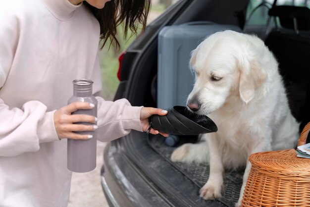 犬に水を与える飼い主を閉じる