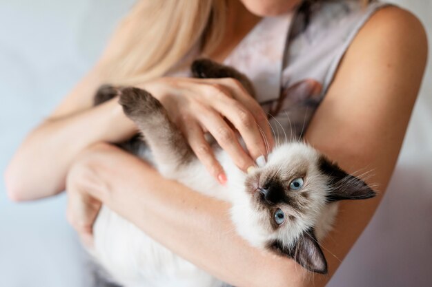 Close up owner holding cat