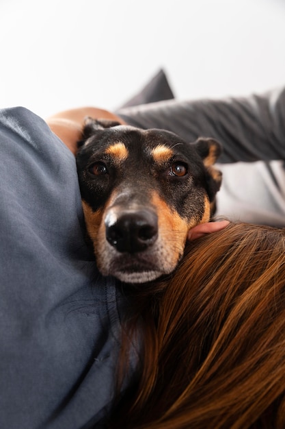 Free photo close up owner holding cute dog