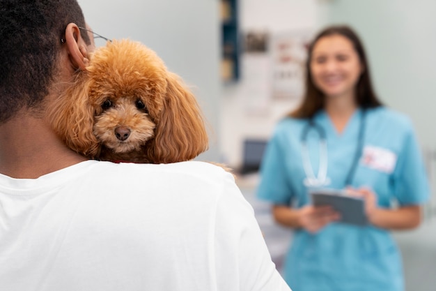 Free photo close up owner holding cute dog