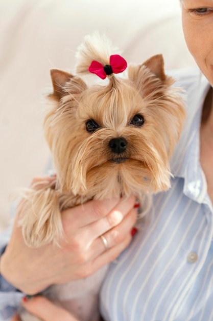 Free photo close up owner holding dog