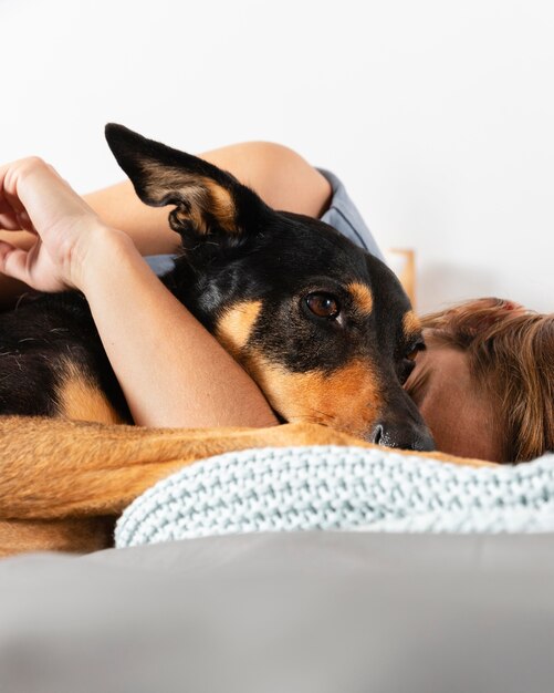 Close up owner hugging dog in bed