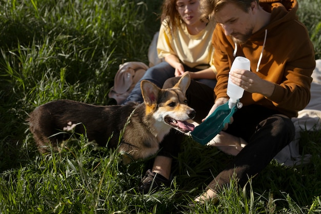 Proprietari ravvicinati che danno acqua al cane