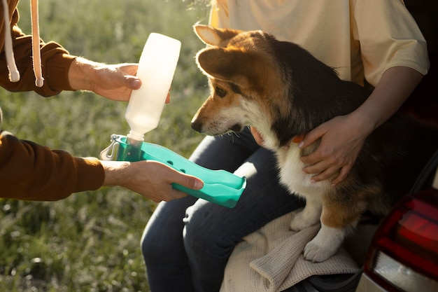 Free photo close up owners giving dog water