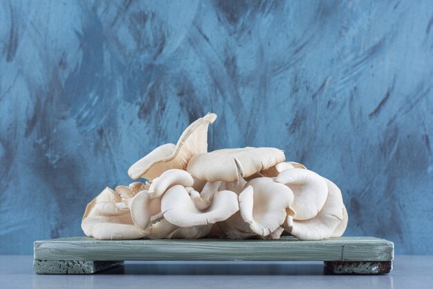 Close up oyster mushroom photo on wooden board. 