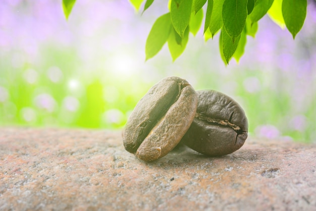 Close-up of a pair of coffee beans