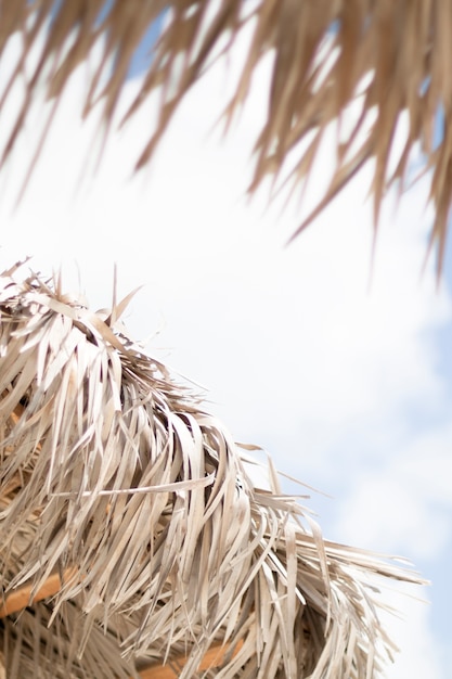 Close-up palm umbrella at the seaside