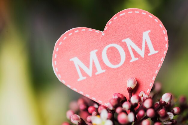 Close-up of paper heart for mother's day