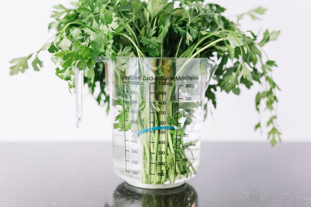 Close-up of parsley in measuring jar
