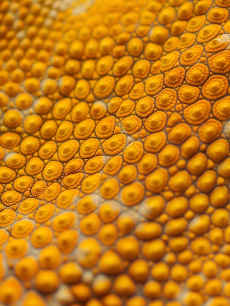 Free photo close up on pattern of scales
