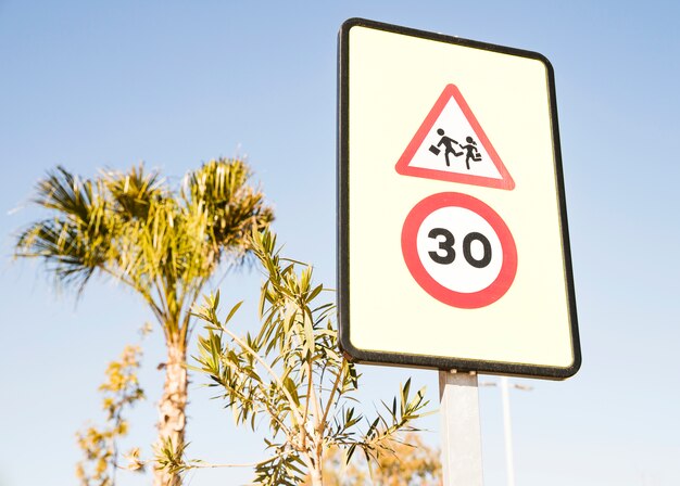 Close-up of pedestrians warning sign with 30 speed limit sign against green tree and blue sky