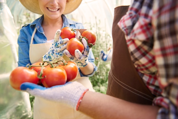 Free photo close up on people taking care of their crops