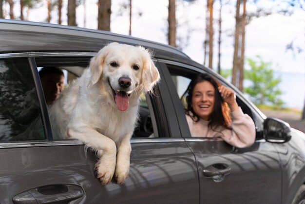 Закройте людей с собакой в машине