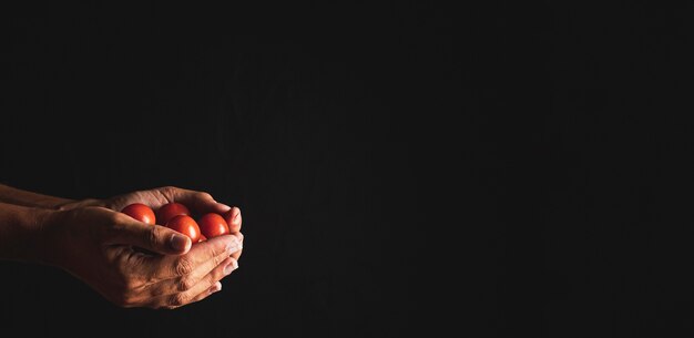 Close-up person holding tomatoes with copy-space