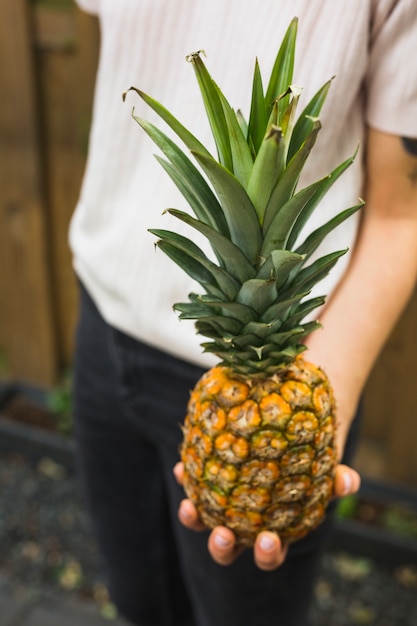 Close-up of a person holding whole pineapple in hand