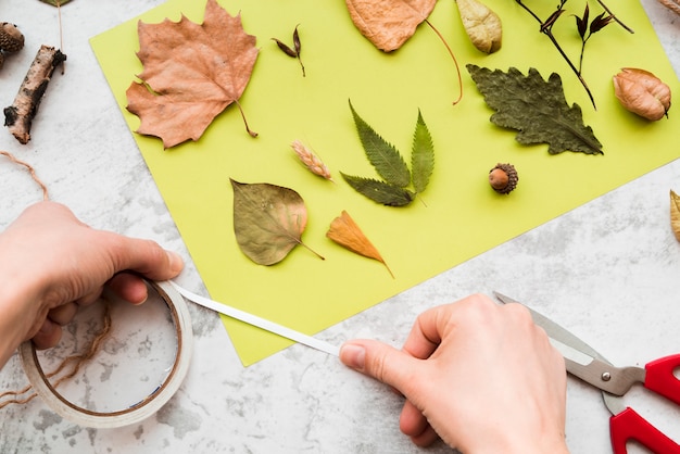 Close-up of a person's hand decorating the green paper with autumn leaves