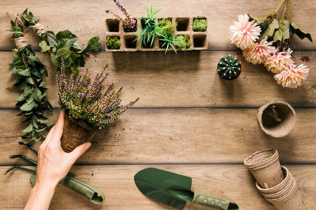 Close-up of a person's hand holding plant with gardening equipments; flower; peat pot; peat tray on wooden table