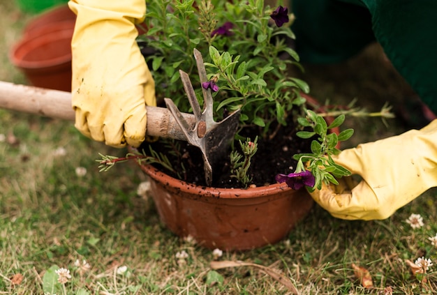 Close-up person with flower pot 