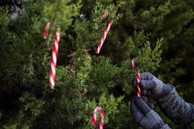 クリスマスツリーを飾る手袋でクローズアップ人