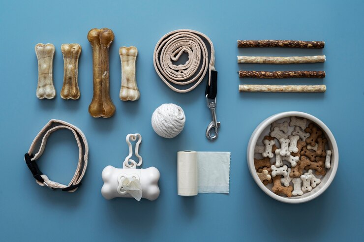Free Photo close up on pet accessories
