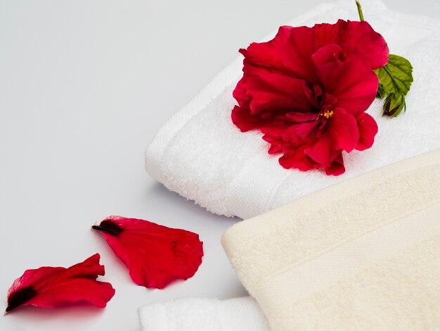 Close up petals by the towels