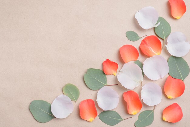 Free photo close-up petals and leaves